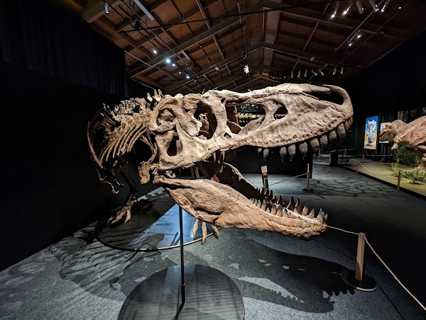 Canterbury Museum 4