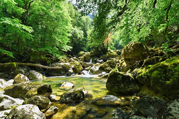 Gorges de l’Areuse 5