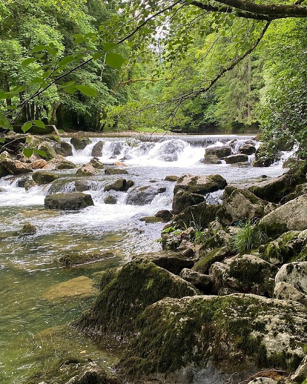 Gorges de l’Areuse 4