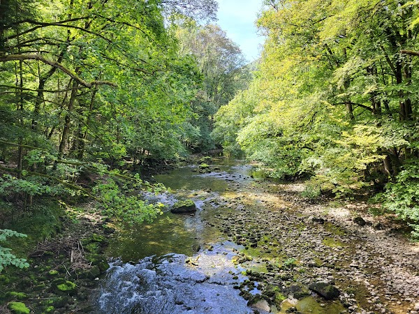Gorges de l’Areuse 2