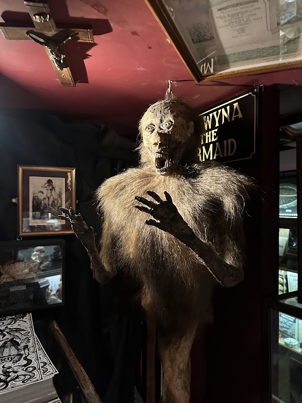 The Viktor Wynd Museum of Curiosities, Fine Art & UnNatural History 3
