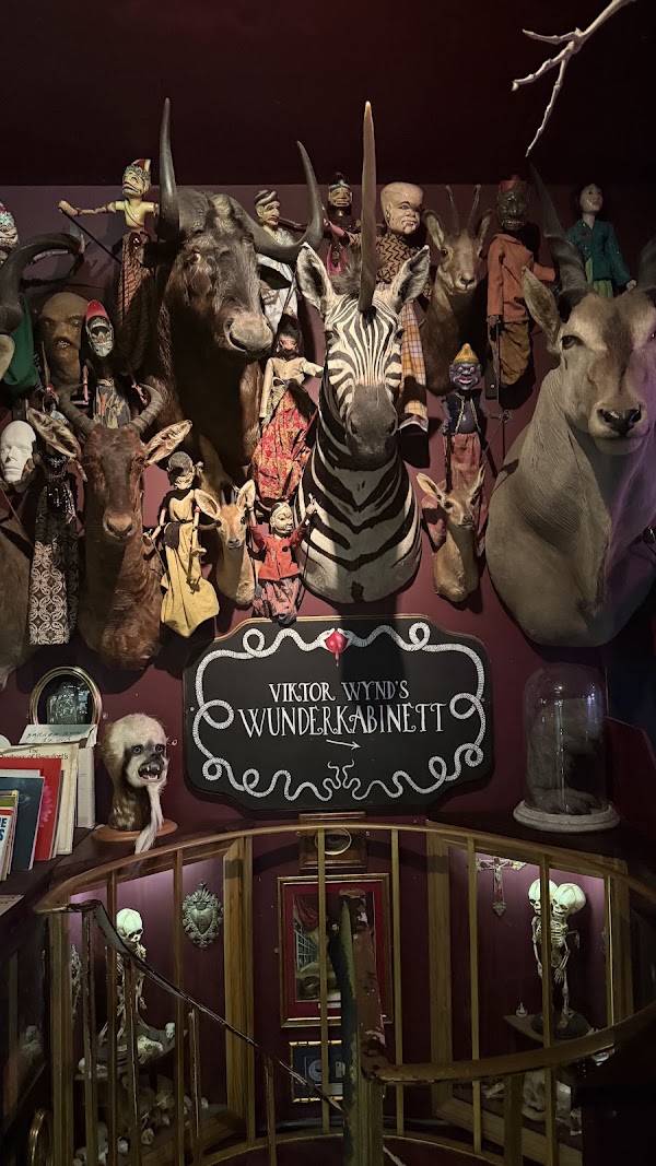 The Viktor Wynd Museum of Curiosities, Fine Art & UnNatural History 2