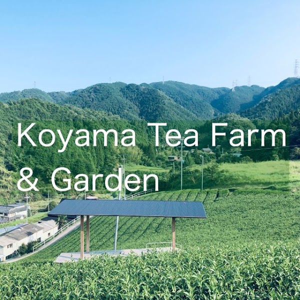Koyama Tea Farm&Garden