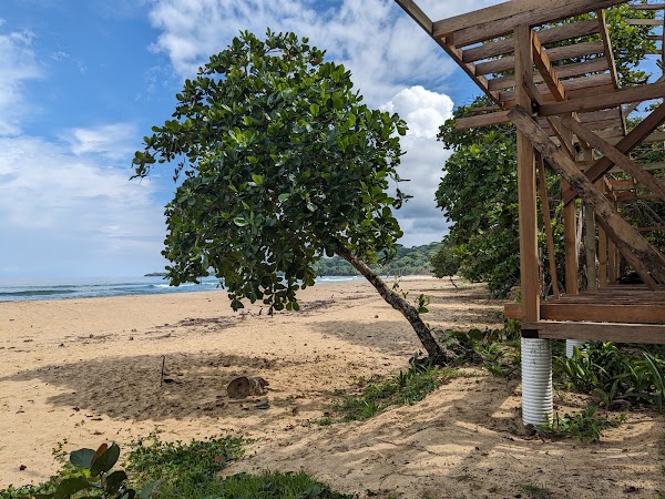Wizard Beach 4