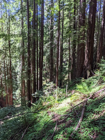 Purisima Creek Redwoods Open Space Preserve