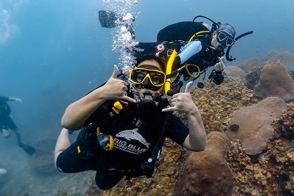 Big Blue Diving School Koh Tao