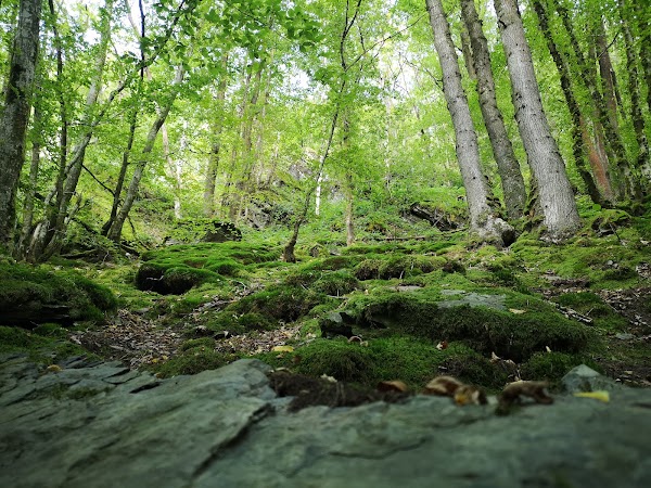 The Hérou - Natural Park of the two Ourthes 2
