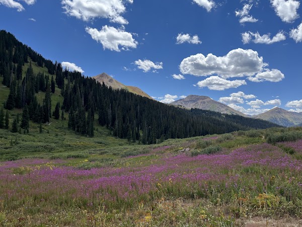 Hikes 31