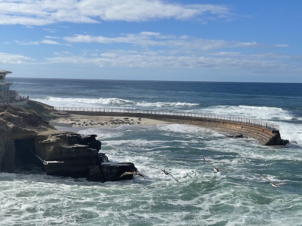 Children's Pool La Jolla 5