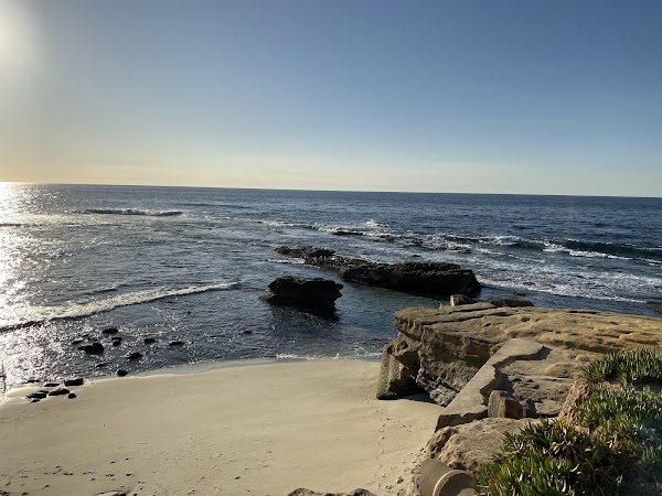 Children's Pool La Jolla 4
