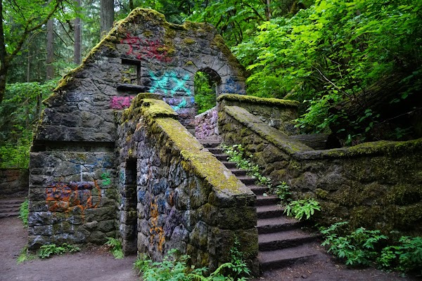 Forest Park 4
