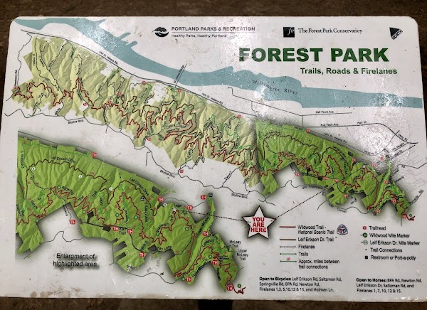 Forest Park 2
