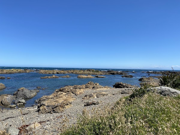 Owhiro Bay Beach 5