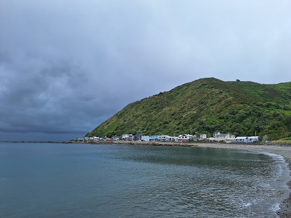 Owhiro Bay Beach 4