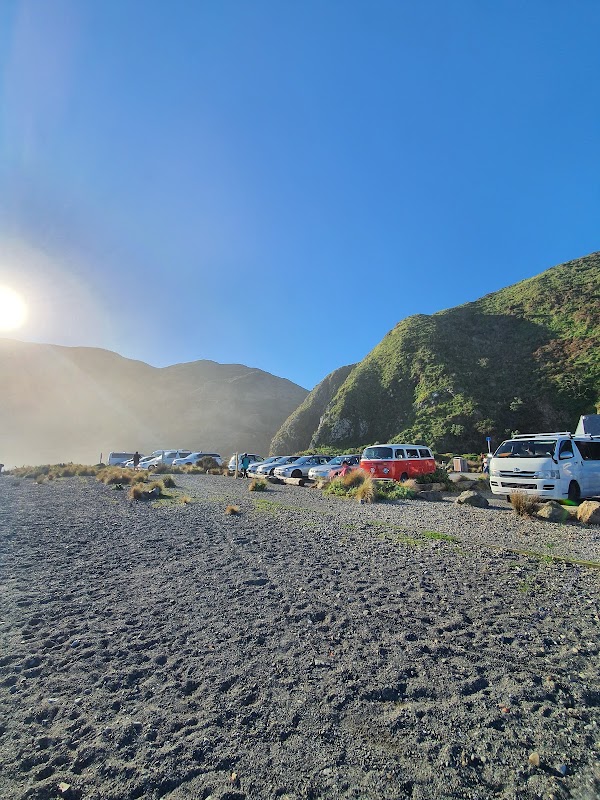 Owhiro Bay Beach 2