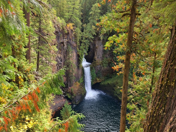 Toketee Falls 5