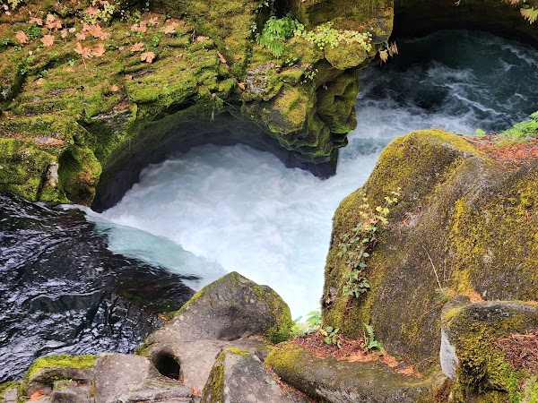 Toketee Falls 4