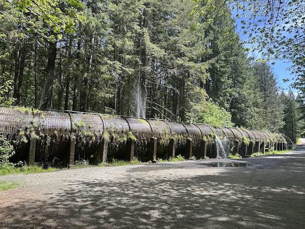 Toketee Falls 3