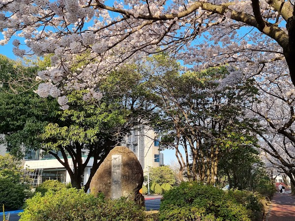 Jeju National University, Ara Campus