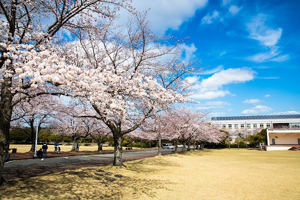 Jeju National University, Ara Campus 5