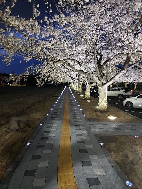 Jeju National University, Ara Campus 3