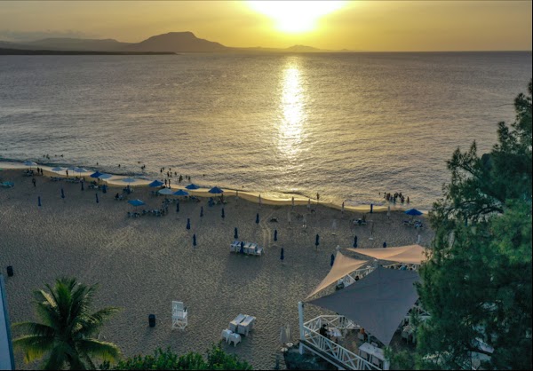 Waterfront Playa Alicia Restaurant 3