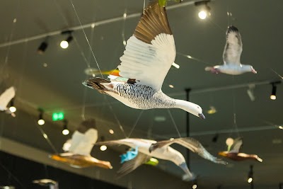 La Moneda Cultural Center 1