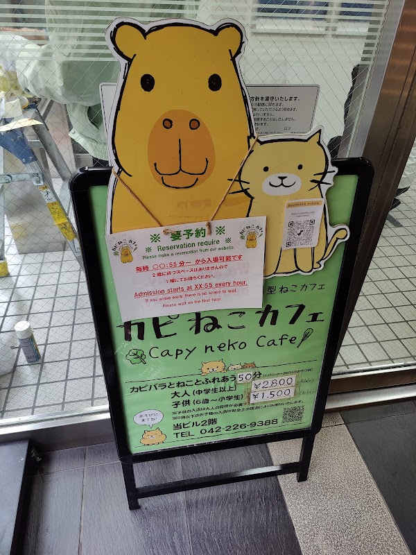 Capy Neko Cafe Kichijoji 2