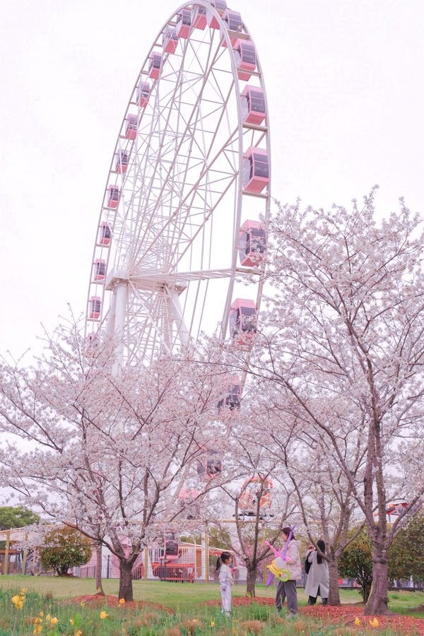Gucun Park