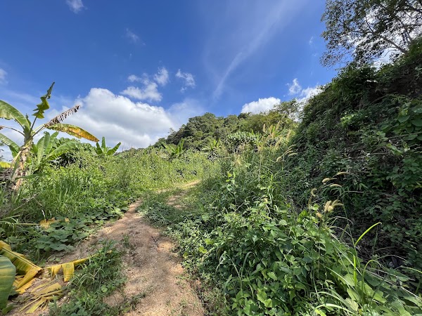 Big Buddha Hiking Trail 1