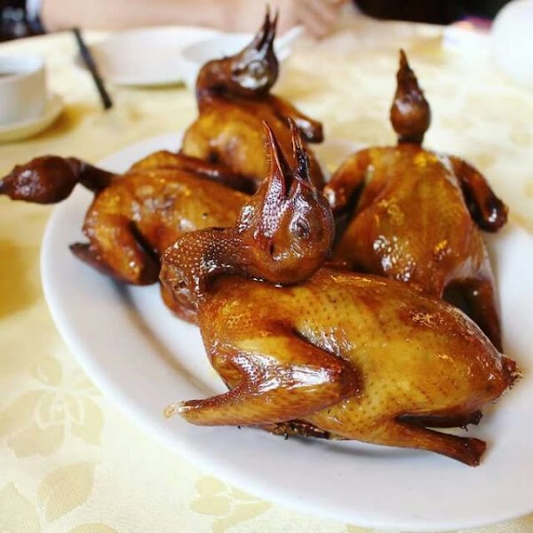 Shanghai Harbin Foodstuff Factory 5