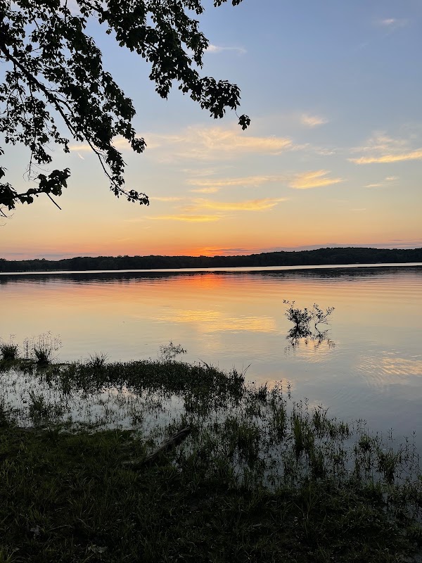 Kentucky Lake 5