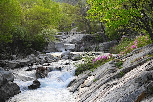 Wolseong Valley
