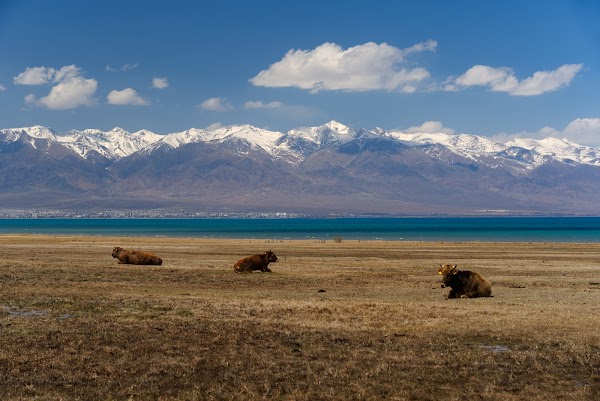 Issyk Kul 5