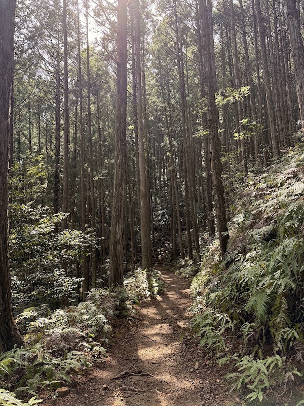 Kumano Kodo Nakahechi 1
