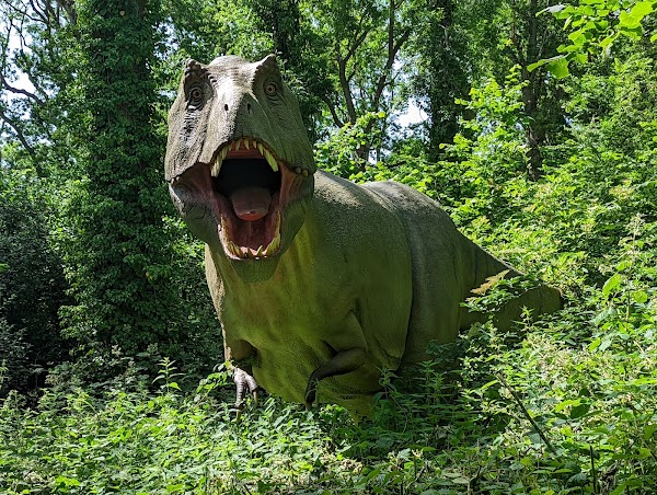 Port Lympne Dinosaur Forest 1