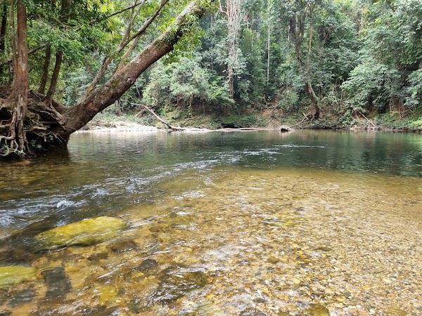 Kelah Sanctuary, Sungai Juram 1