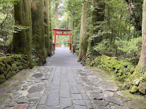 Peace Torii 3