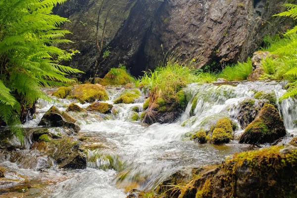 Hidden Glen 4