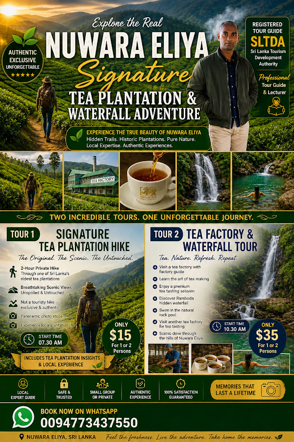 Nuwara Eliya signature tea plantation and waterfall adventure 1