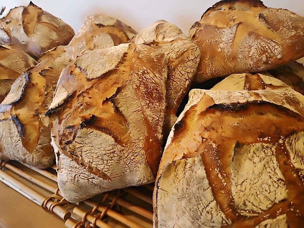 Boulangerie L'oiseau bleu 3