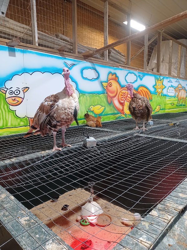 A. Casola Farms 5