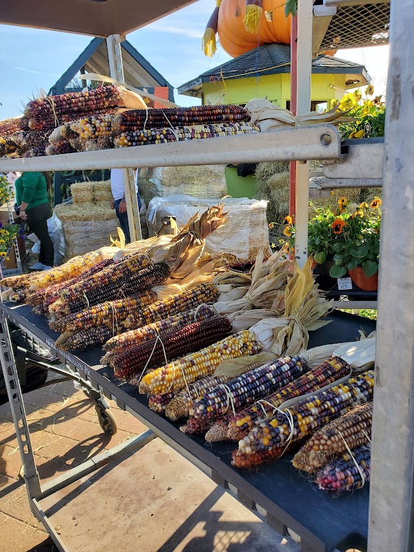 A. Casola Farms 4