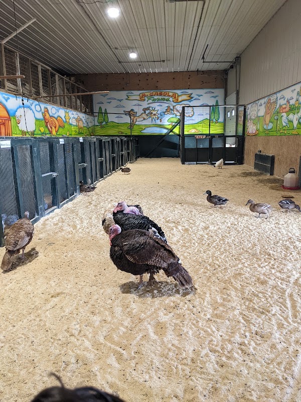A. Casola Farms 2