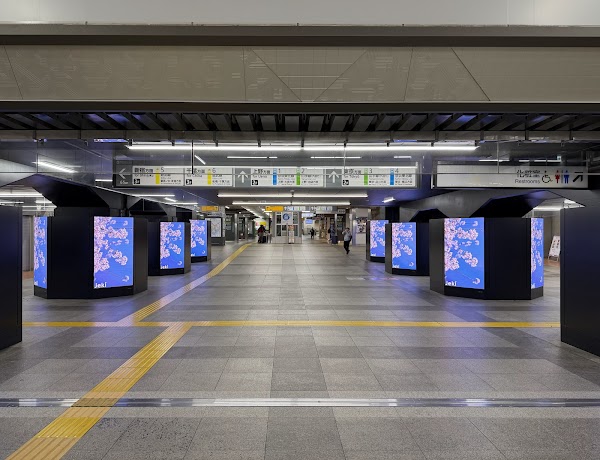 Akihabara Station 3