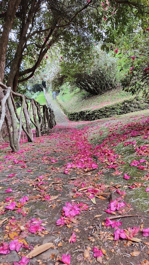 Caminho das Queimadas 3
