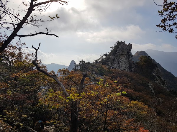 나한봉 Nahanbong 5