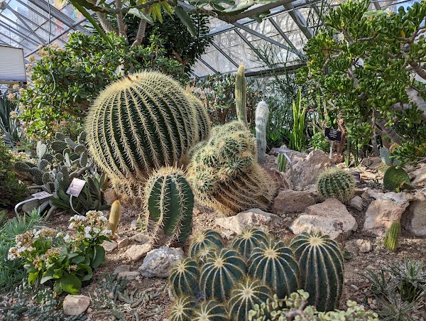 Allan Gardens 4