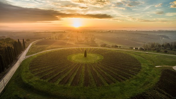 Avignonesi Winery Fattoria Le Capezzine