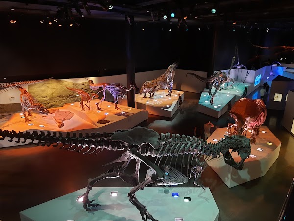 Houston Museum of Natural Science